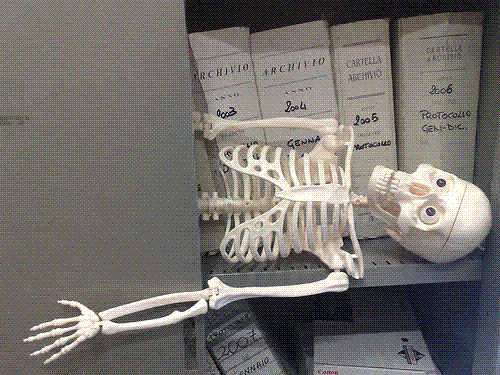 scheletro1